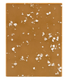 Twinkle Bar - Chocolate caramel with Newfoundland Sea Salt - Soma Chocolatemaker